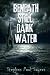 Beneath Still, Dark Water by Stephen Paul Sayers