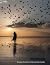 Brave the Strom : How to ov...