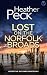 Lost on the Norfolk Broads (DCI Greg Geldard #6)