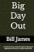 Big Day Out: a mad mercenar...