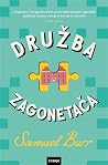 Družba zagonetača