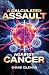 A Calculated Assault Agains...