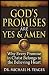 GOD'S PROMISES ARE YES & AM...