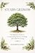 Steady Growth: The Beginner...