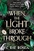 When the Light Broke Through by N. Rae Rosen When the Light Broke Through by N. Rae Rosen