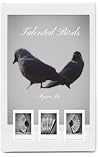 Talented Birds