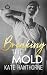 Breaking the Mold (Club Rap...