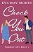Check You Out (The Summervi...