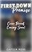 First Down Promise (The Iro...