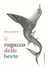 Il ragazzo delle ...