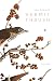 Hermit Thrush