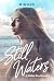 Still Waters by B. Wills Still Waters by B. Wills