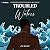 Troubled Waters