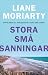 Stora små sanningar (Stora små lögner, #2)