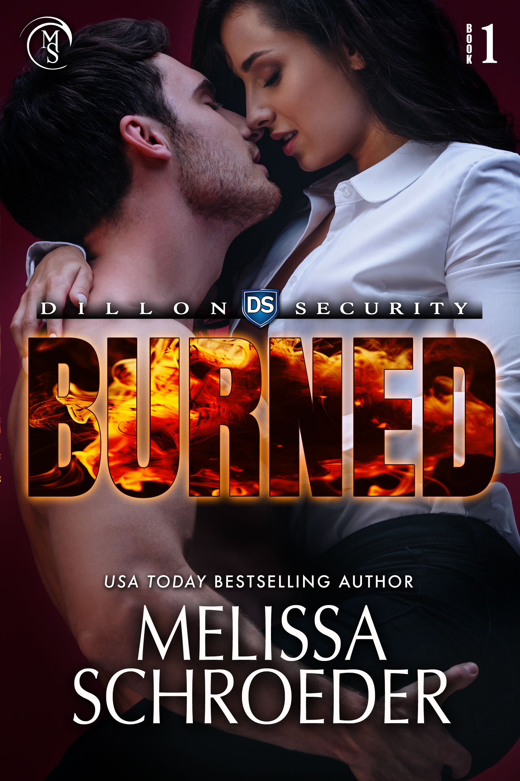 Burned (Dillon Security Book 1)