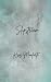 Slipstream: Discreet Cover