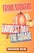 Harvest Day in the Square by Erynn  Mangum