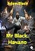 Mr Black. Начало