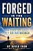 FORGED IN THE WAITING by David Food