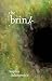 The Brink