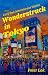 Wonderstruck in Tokyo: Cozy...