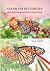 Color the Butterflies: Mirr...