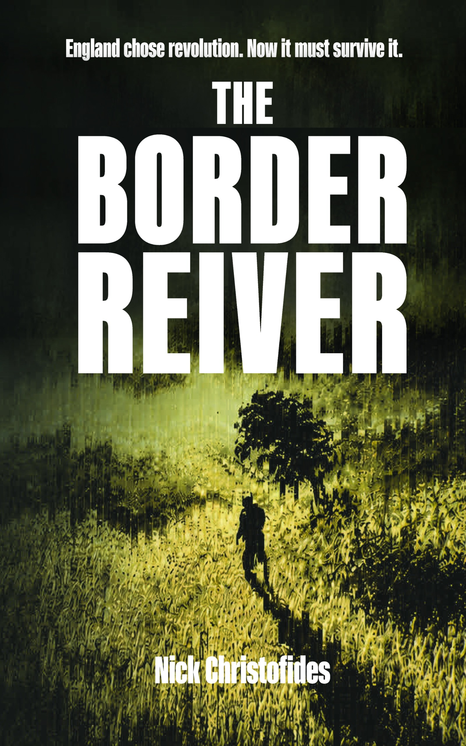 The Border Reiver: An epic story of rebellion and the price of freedom...