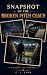 Snapshot of the Broken Pitch Coach by C.L. Finn