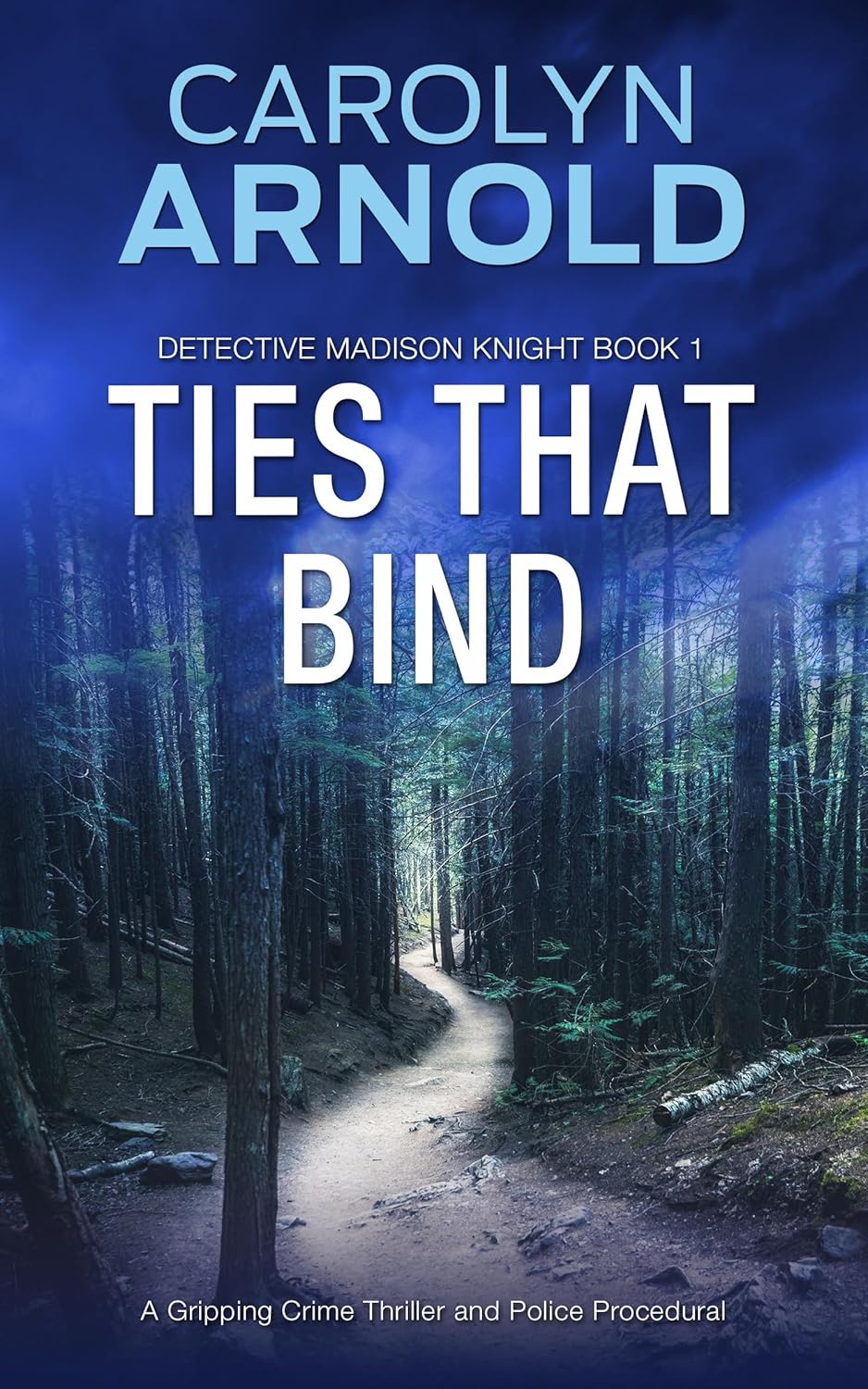 Ties That Bind (Madison Knight, #1)