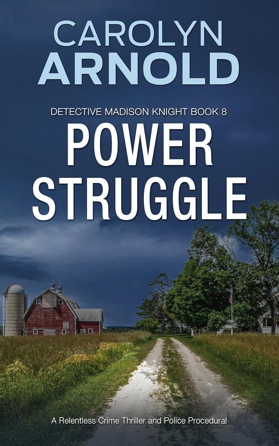 Power Struggle (Madison Knight, #8)