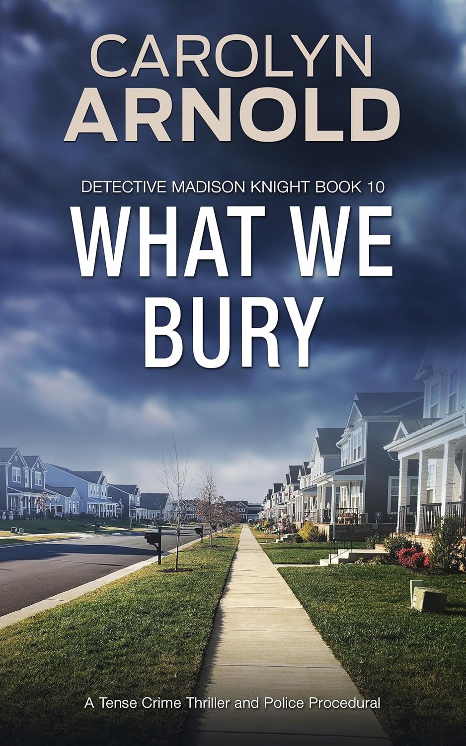 What We Bury (Madison Knight #10)