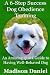 A 6-Step Success Dog Obedie...