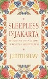 Sleepless in Jakarta: Stories of Connection, Curiosity & Misadventure