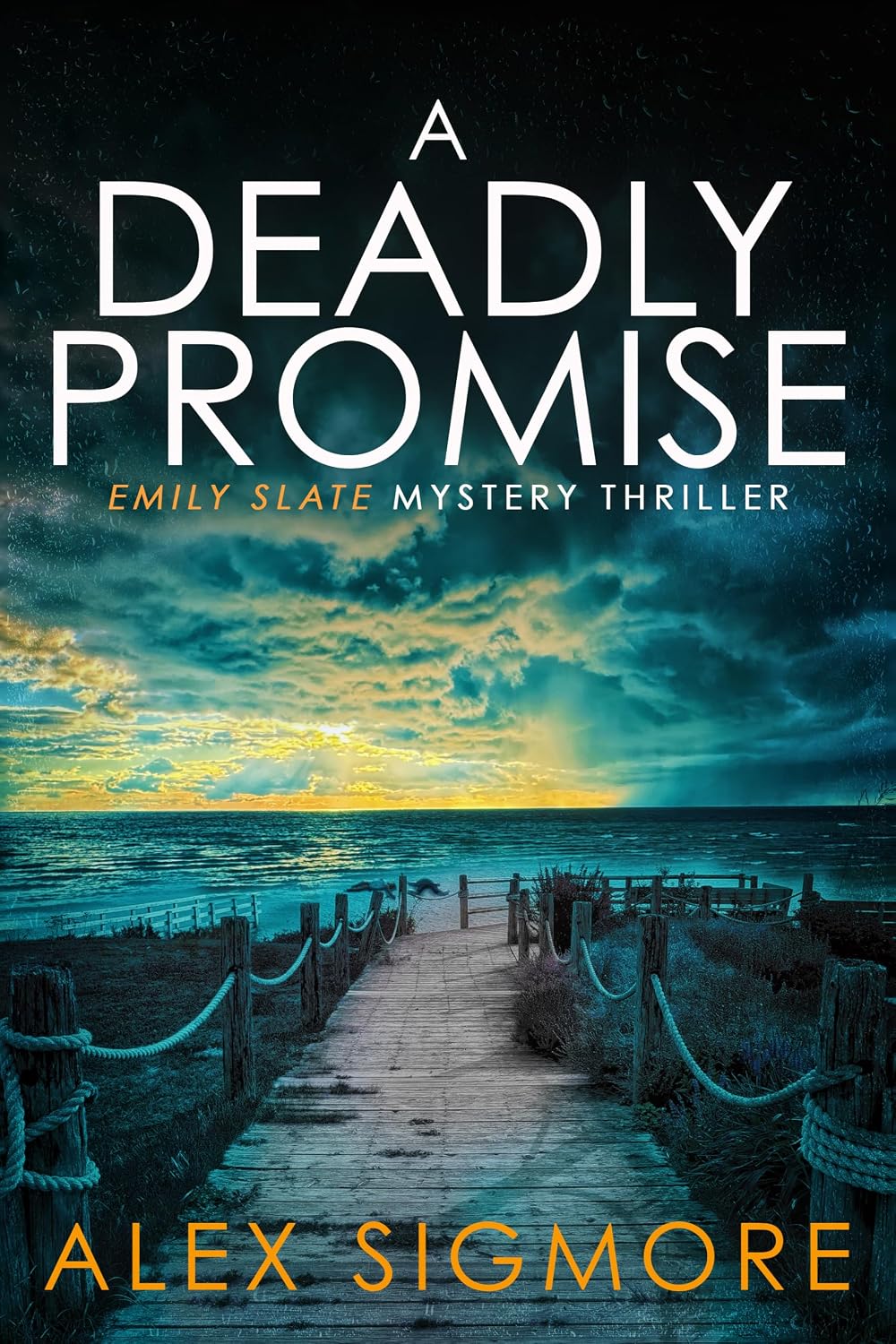 Read A Deadly Promise (Emily Slate FBI Mystery Thriller Book 19)