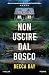Non uscire dal bosco