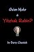 Quien Mato a Yitzhak Rabin?