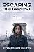 Escaping Budapest: A WW2 Historical Novel Based on a True Story