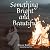 Something Bright and Beauti...