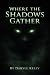 Where the Shadows Gather