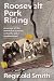 Roosevelt Park Rising by Reginald Smith