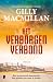 Het verborgen verbond