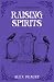Raising Spirits: A Cozy Fan...
