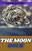 THE MOON ROCK