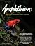 Amphibians by Scott Robinson