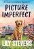 Picture Imperfect (Caught on Camera Mysteries Book 1)