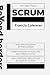Scrum Beyond Borders: Ten E...