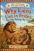 Why Lions Live in Prides: M...