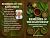 Remedies of the Rainforest-...