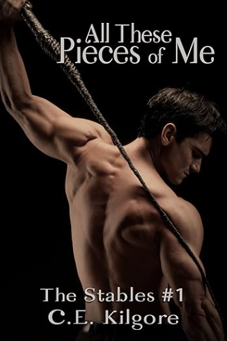 All These Pieces of Me (The Stables, #1)