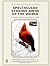 Spectacular & Strange Birds...